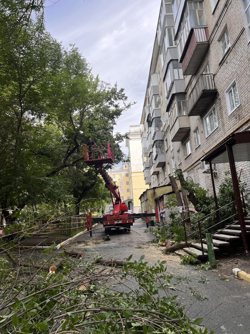 Работы по обрезке и спилу деревьев у жилого дома